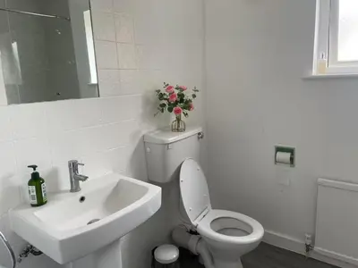 a white bathroom with a toilet and a sink at Gilead Grace House in Littleport