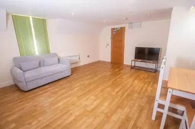 a living room with a couch and a television at Newly Renovated Sanctuary for 4 in Charlotte House in Ipswich