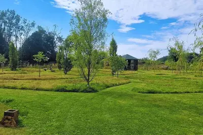 a green field with a house in the background at Bears House in Westley Waterless