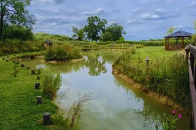 a small river in a field with a gazebo at Bears House in Westley Waterless