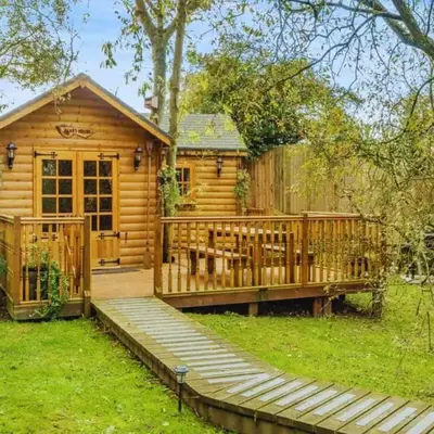Bears House
