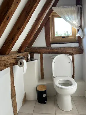 a bathroom with a toilet and a window at Heritage Cottage with a Pool in Diss