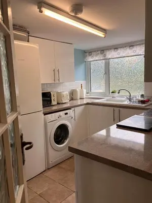 a kitchen with a washing machine and a dishwasher at The Cosy Annexe in Wymondham