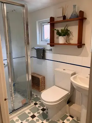 a bathroom with a toilet and a shower and a sink at The Cosy Annexe in Wymondham