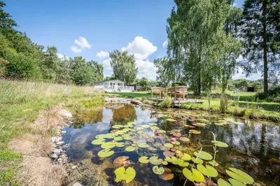 a pond filled with lots of lily pads at The Cabin, Ufford in Ufford