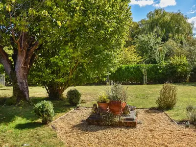 a garden with potted plants and a tree at Green Farm Cottage in Redgrave