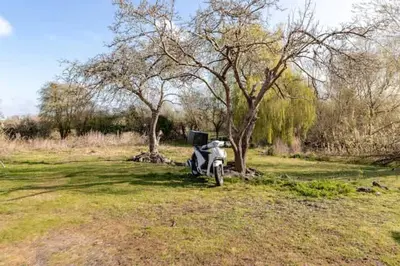 a motorcycle parked in a field next to a tree at Spacious Riverside View Bungalow in Chelmsford