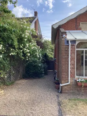 a brick house with a tree with white flowers at Basils Bolthole in Darsham