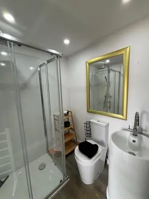 a bathroom with a shower and a toilet and a mirror at Goldings detached Barn farm stay in Hertford