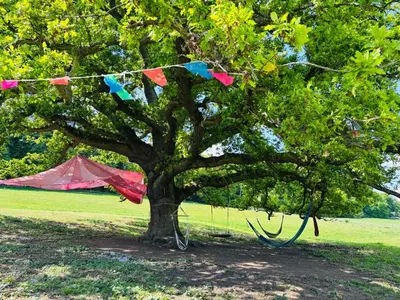 a tree with colorful kites hanging from a string at Goldings detached Barn farm stay in Hertford