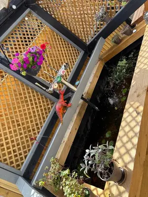 an overhead view of a garden with plants and a bird ornament at Stylish Garden pod lodges in Milton