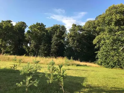 a field of grass with trees in the background at Contemporary 3 bed luxury Spa lodge with hot tub in Bury Saint Edmunds