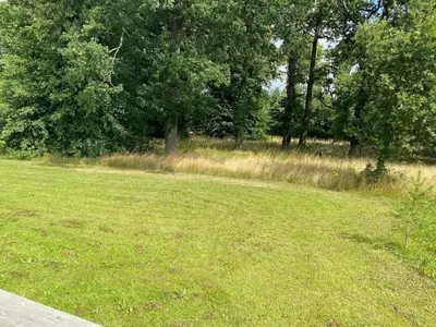 a field of green grass with trees in the background at Contemporary 3 bed luxury Spa lodge with hot tub in Bury Saint Edmunds