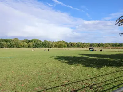 a large grass field with horses in the distance at Hayloft in Ipswich