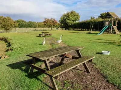two birds standing next to a picnic table in a park at Fisherman's Rest in Ipswich