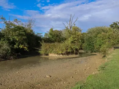 a river with trees on the side of it at Fisherman's Rest in Ipswich