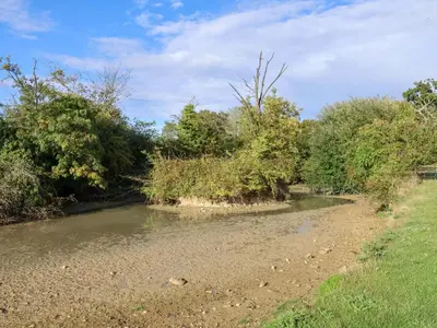 a river with trees on the side of it at Coachman's Cottage in Ipswich