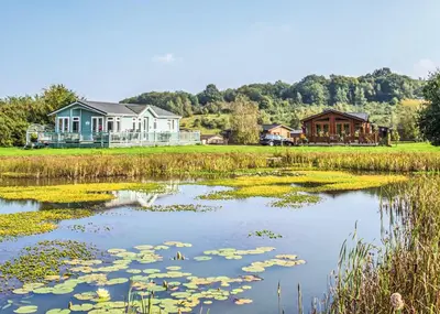 a pond with lily pads in front of houses at Warren Lodges in Little Baddow