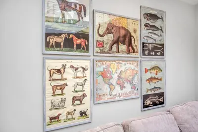 a wall with different types of animals and maps at GROUND floor apartment no steps 119 Northgate St luxury 2 bedroom apartment close to the town centre with paid parking close by in Bury Saint Edmunds