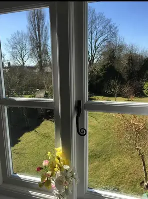 two windows with a vase of flowers on a window sill at Sunnyside Cottage in Great Sampford