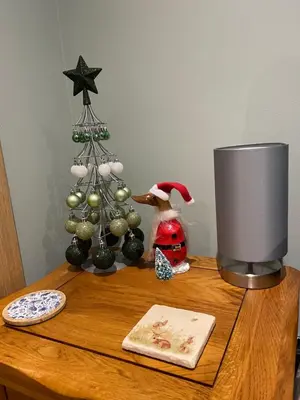 a table topped with a christmas tree and a figurine at Woodland View in East Harling