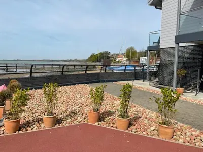 a row of potted plants sitting on a patio at Admirals in Shotley Gate