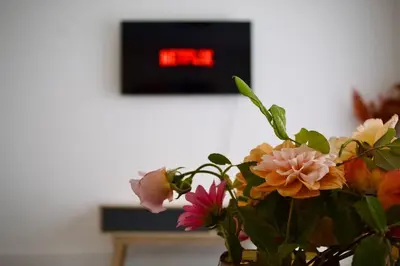 a vase filled with flowers in front of a clock at Iris Group Stay 8-BR Free Parking in Wenhaston