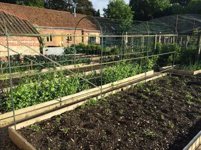 a garden with several plots of plants in it at Chippenham Park Garden Rooms in Chippenham