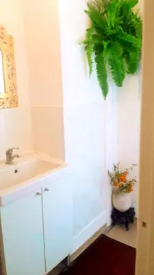 a bathroom with a sink and a potted plant at Home stay central in Cambridge