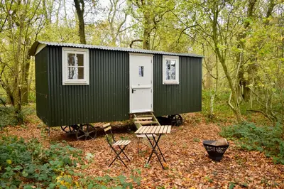 a green and white tiny house in the woods at Shepherd Hut in the woods