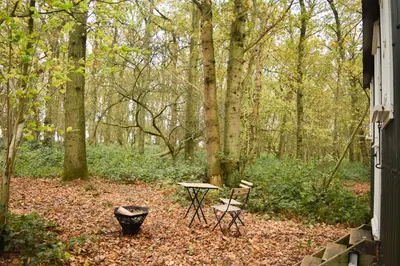 a picnic table and two chairs in the woods at Shepherd Hut in the woods