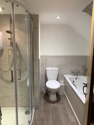 a bathroom with a toilet and a sink and a shower at Bell Cottage in Mildenhall
