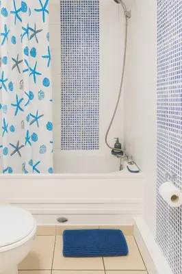 a bathroom with a blue and white shower curtain at The Little Nest in Colchester in Colchester