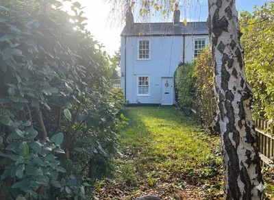 a white house with a hedge in front of it at Charming Willow Cottage in historic Grantchester in Barton