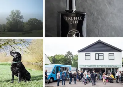 a collage of photos with a bottle of wine and a dog at Charming Willow Cottage in historic Grantchester in Barton