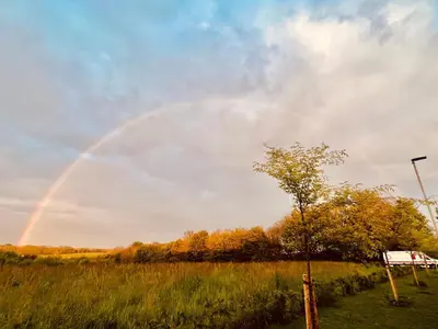 a rainbow in the sky over a field with a tree at The Pink House in Lavenham