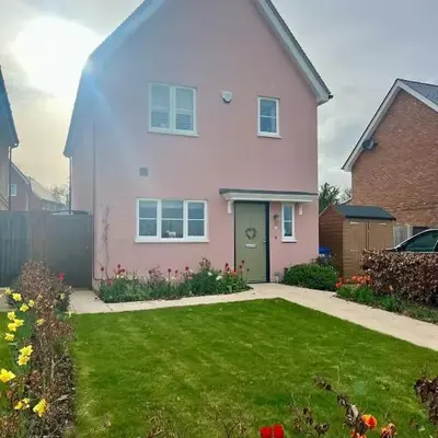 The Pink House