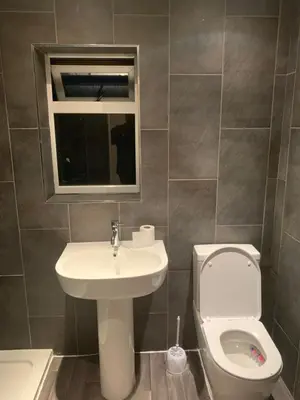 a bathroom with a sink and a toilet and a mirror at APEX HOUSE Le Hope ENSUITE in Horndon on the Hill