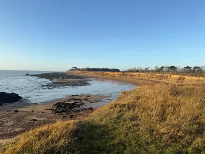 a beach with tall grass and the ocean at Cottage on remote wild coast in Bawdsey