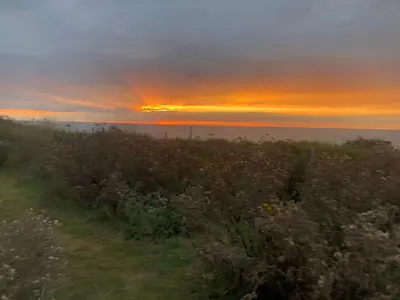 a field of flowers with the sunset in the background at Cottage on remote wild coast in Bawdsey