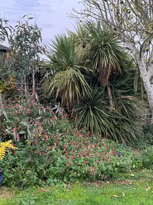 a garden with colorful flowers and palm trees at Poets View - Studio in Honington, Suffolk in Honington
