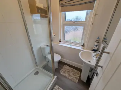 a bathroom with a shower and a toilet and a sink at Digby House flat 1 in West Mersea