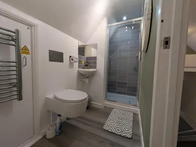 a bathroom with a toilet and a sink and a shower at Digby house flat 2 in West Mersea