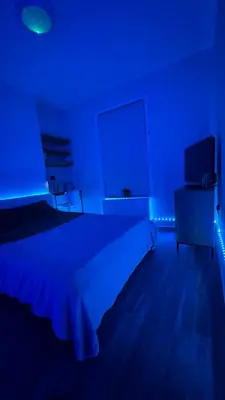 a blue room with a bed and a television at 52A Flat Mill Road in Cambridge
