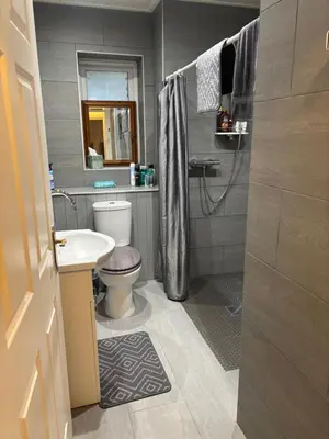 a bathroom with a toilet and a sink and a shower at 4 Castle Walk in Stansted Mountfitchet