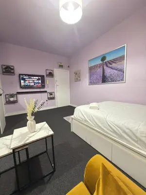 a bedroom with a bed and a couch and a tv at The Lavender Stay by Cambridge City Centre in Chesterton
