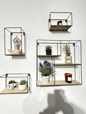 three shelves with potted plants on a wall at The Charcoal Stay by Cambridge City Centre in Chesterton