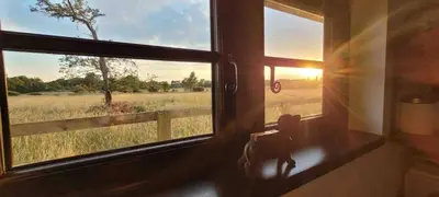 a window with a view of a field from a train at The Acorn - Roudham Norwich in Norwich