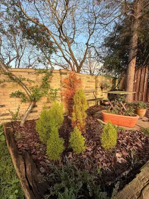 a garden with plants and a bench in front of a fence at The Grantchester - Charming 20th Century Home in Barton