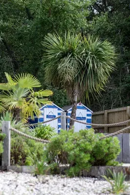 a palm tree in front of a blue and white shack at 1 Quay Cottage in Bawdsey